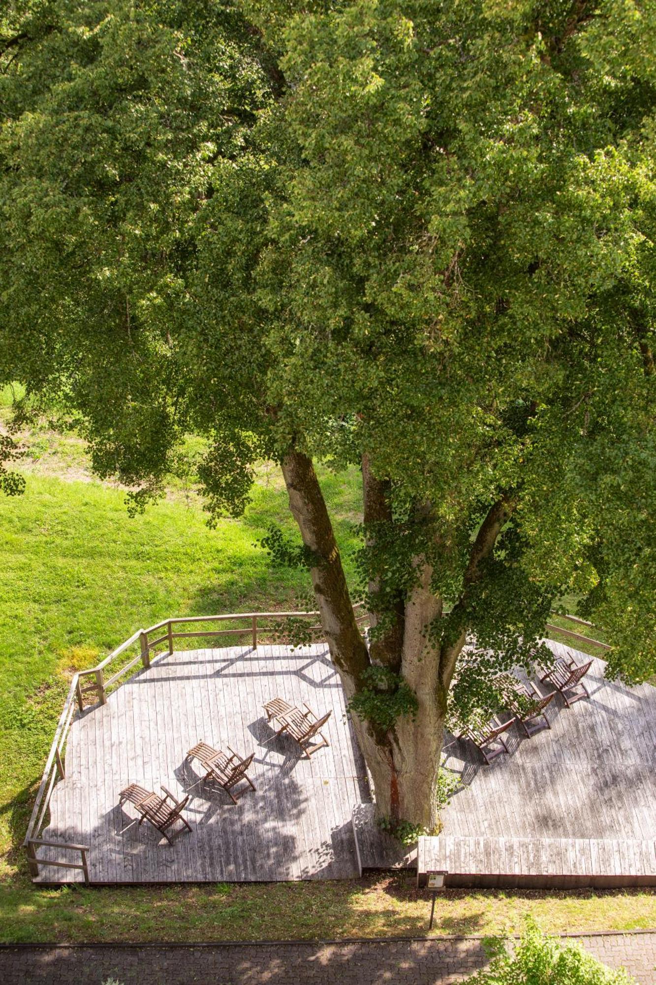 Roomingtons Hotel Franziskushoehe Lohr Esterno foto
