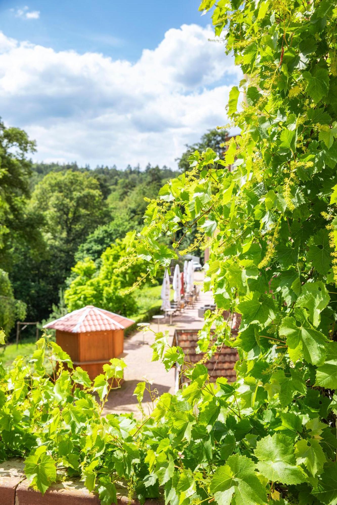 Roomingtons Hotel Franziskushoehe Lohr Esterno foto