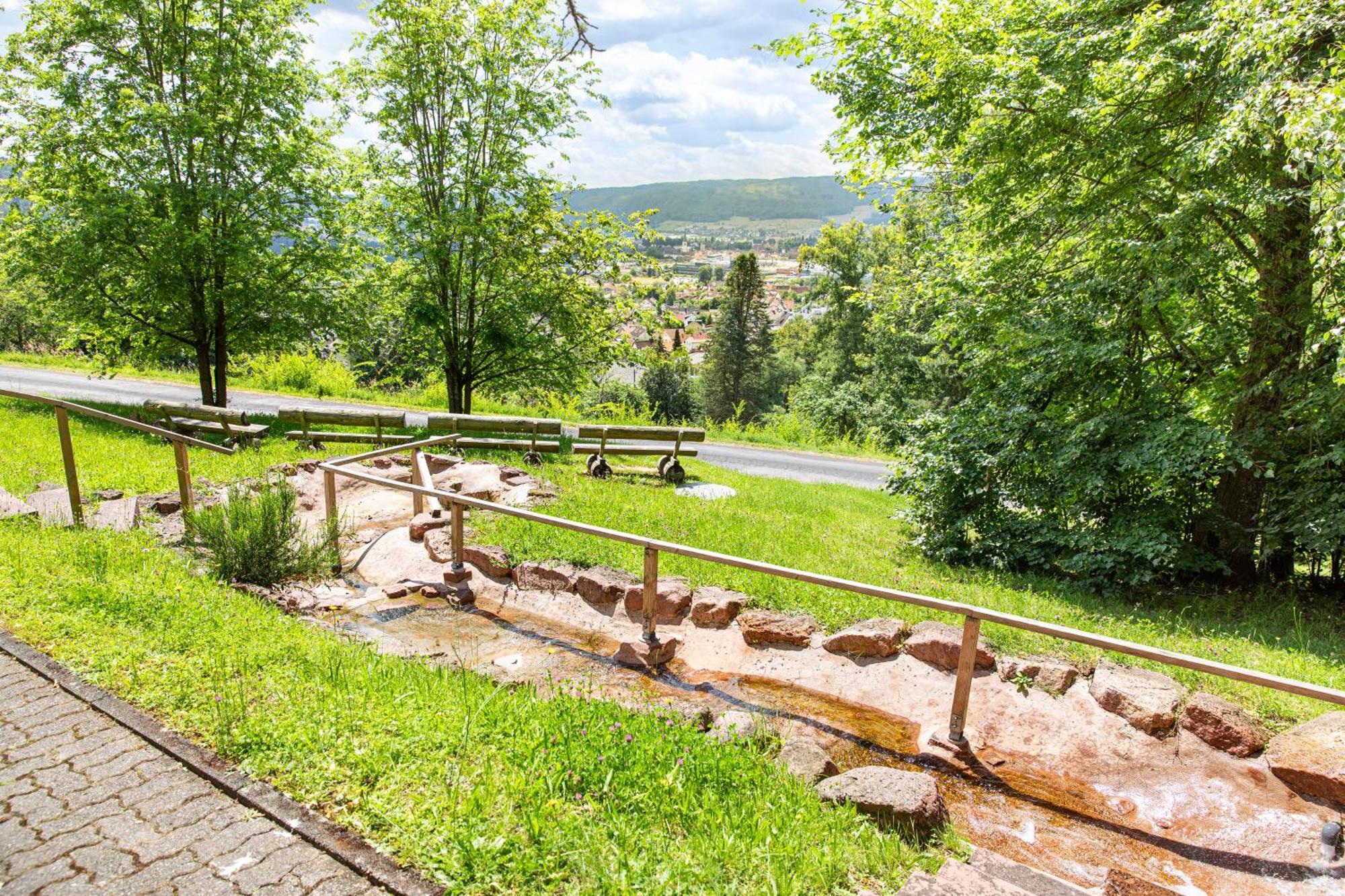 Roomingtons Hotel Franziskushoehe Lohr Esterno foto